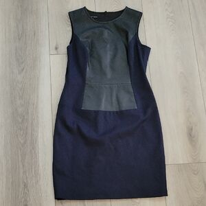 Chic Black and Navy Sleeveless Dress